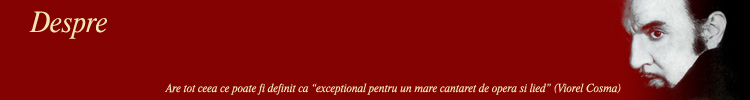Despre Dan Iordachescu